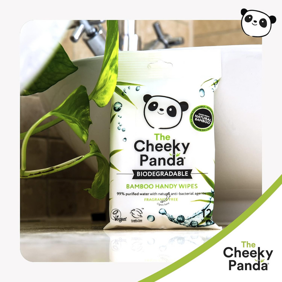 Bamboo Travel Hand Wipes | 12 Biodegradable Plastic-Free Wet Wipes for Sensitive Skin