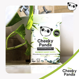 Bamboo Travel Hand Wipes | 12 Biodegradable Plastic-Free Wet Wipes for Sensitive Skin