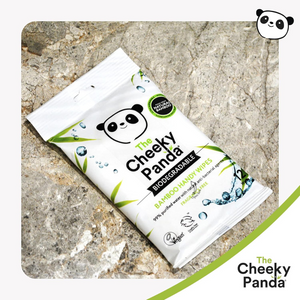 Bamboo Travel Hand Wipes | 12 Biodegradable Plastic-Free Wet Wipes for Sensitive Skin