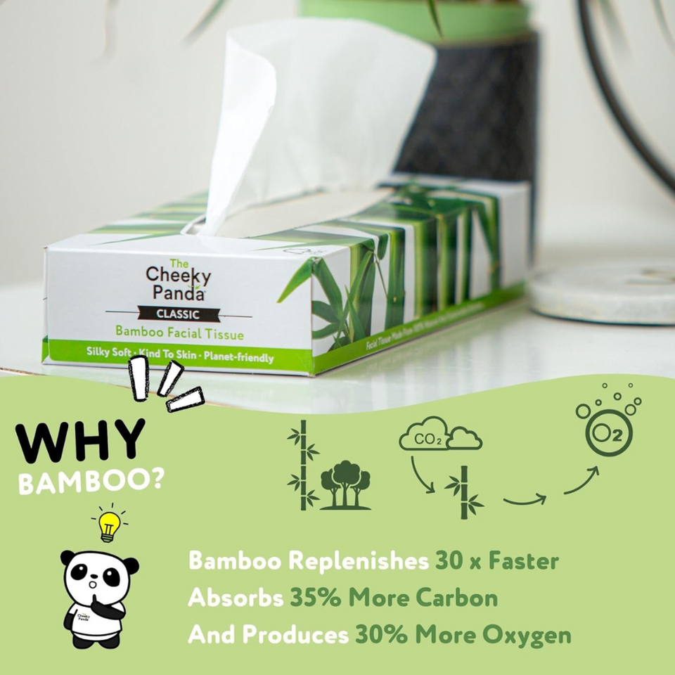 Sustainable Bamboo Facial Tissues – 3-Ply Ultra Soft Plastic Free Box (80 Tissues)