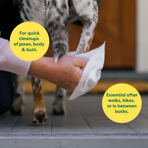 Unscented Pet Wipes for Dogs and Cats – Hypoallergenic Grooming Wipes, 100 Count
