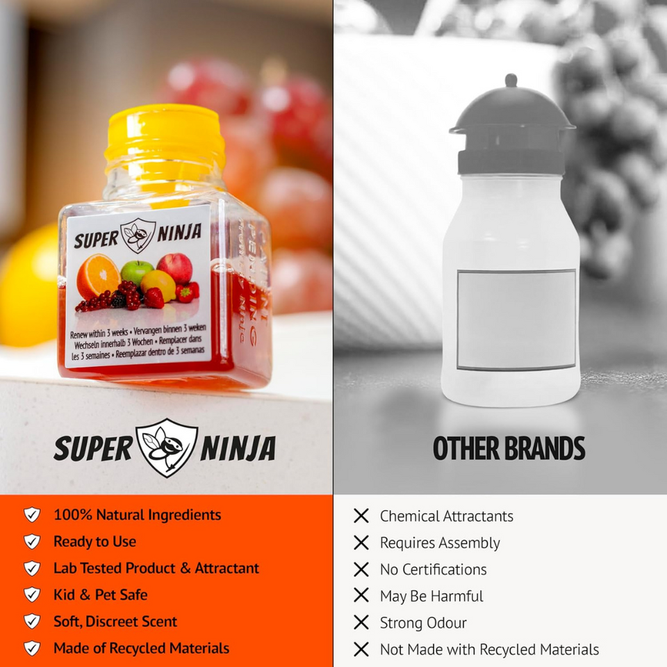 Fruit Fly Trap for Kitchen & Home – 2 Pack, Natural Bait, Child & Pet Safe, 3-Week Use