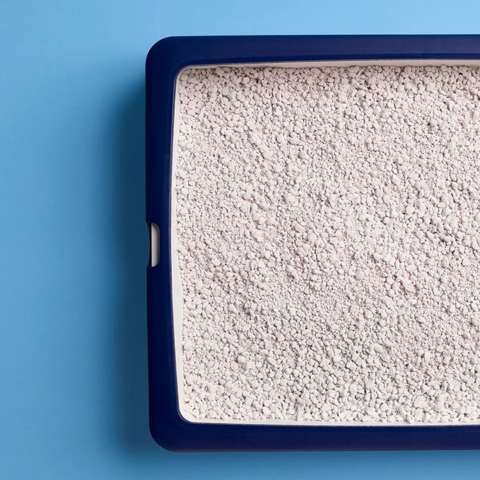 Hygiene Plus Non-Clumping Cat Litter – 20L Natural Absorbent Litter for Cats & Kittens